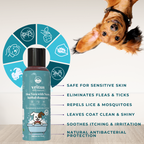 Aloe Vera With Neem Herbal Shampoo