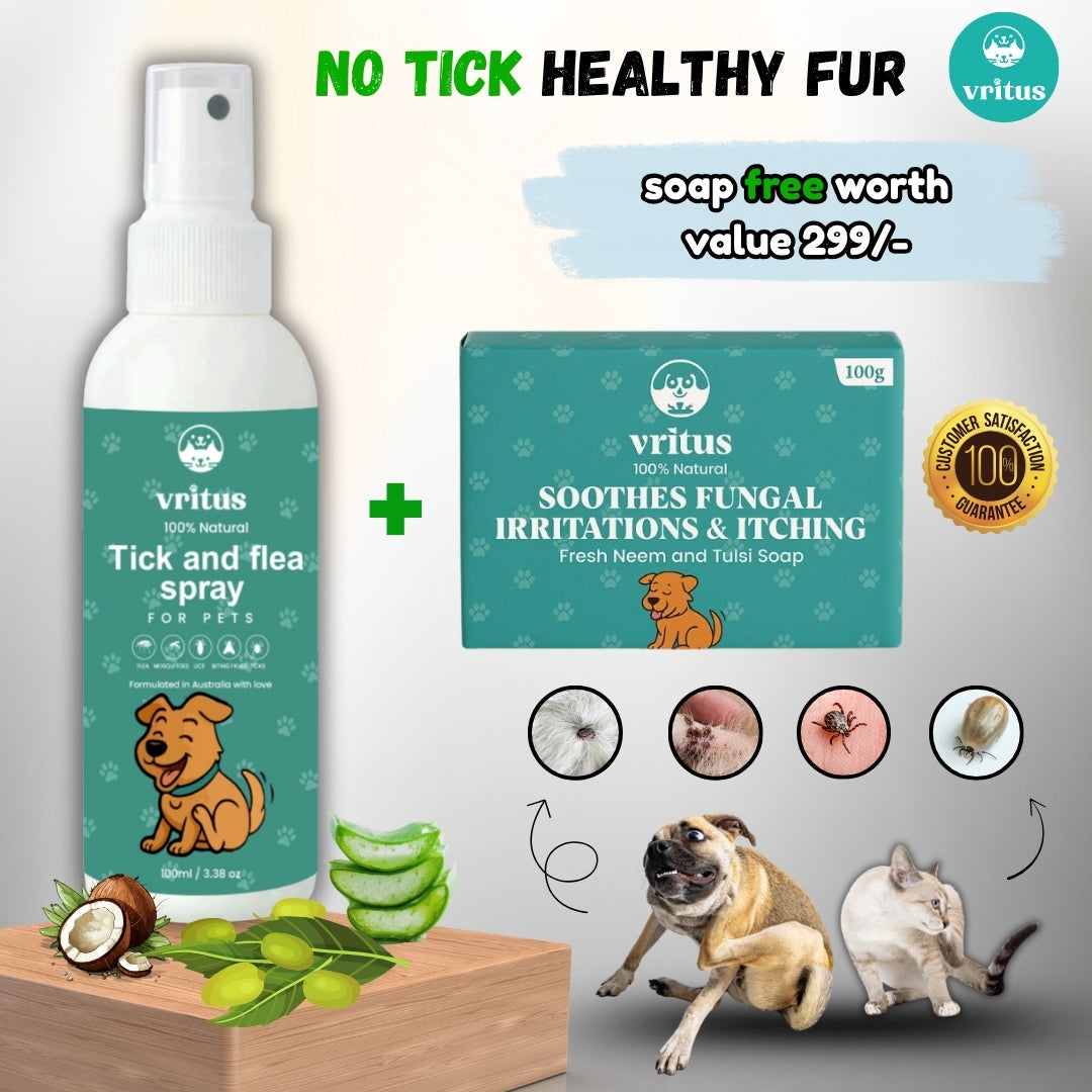 Tick & Flea Spray + Flea Soap Combo
