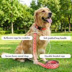 Wavy Sunset Leash & Collar Set