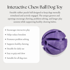 Interactive Chew Ball Dog Toy