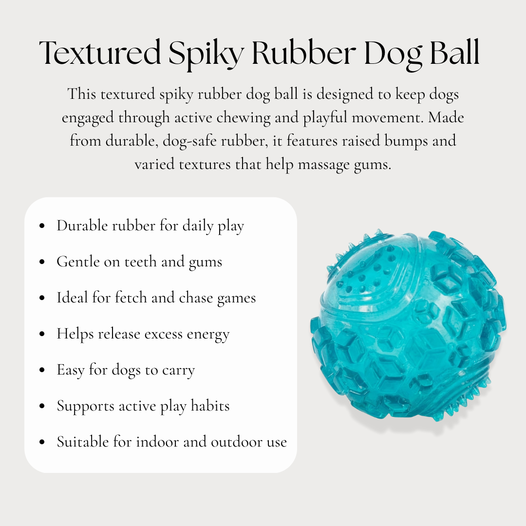 Textured Spiky Rubber Dog Ball