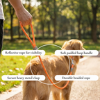 Truelove Reflective Rope Leash