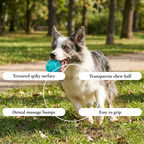 Textured Spiky Rubber Dog Ball