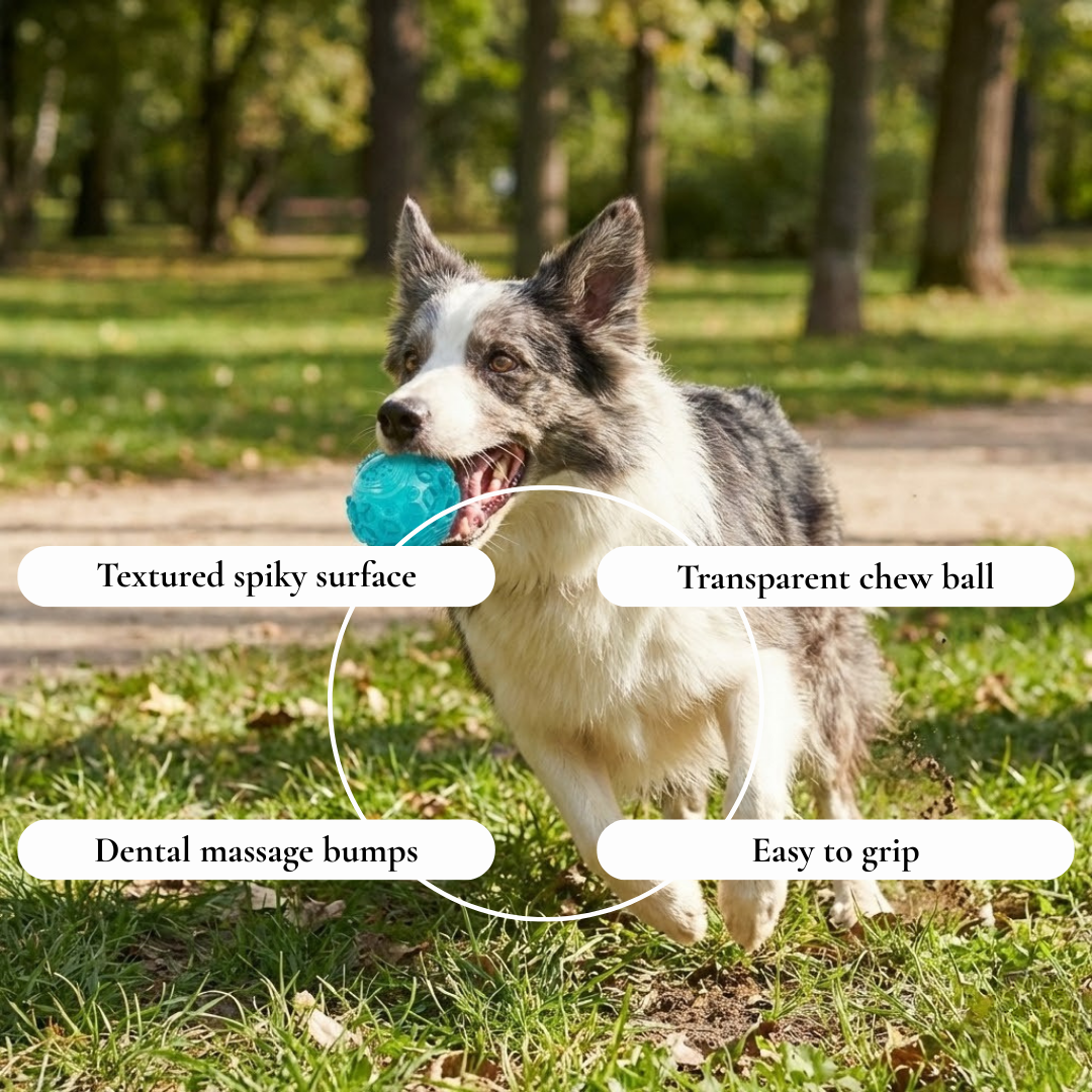 Textured Spiky Rubber Dog Ball