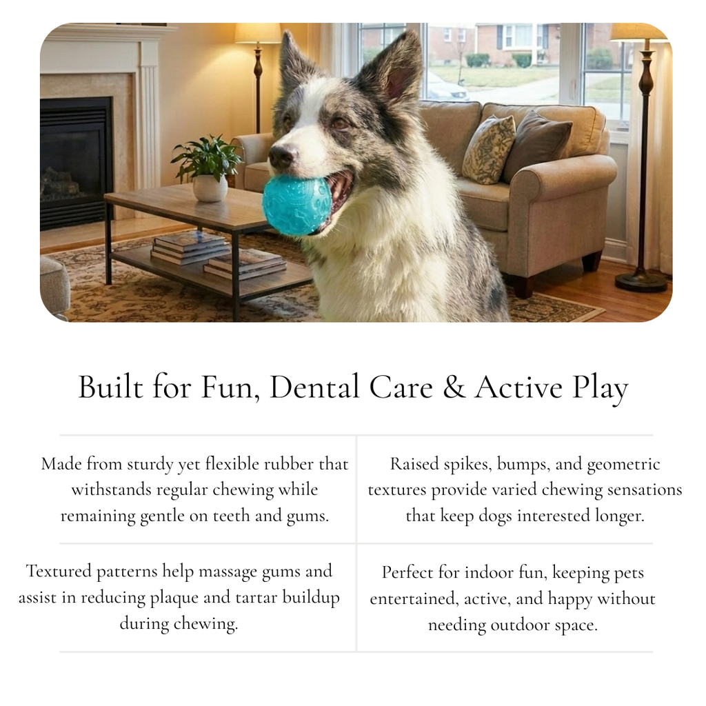 Textured Spiky Rubber Dog Ball