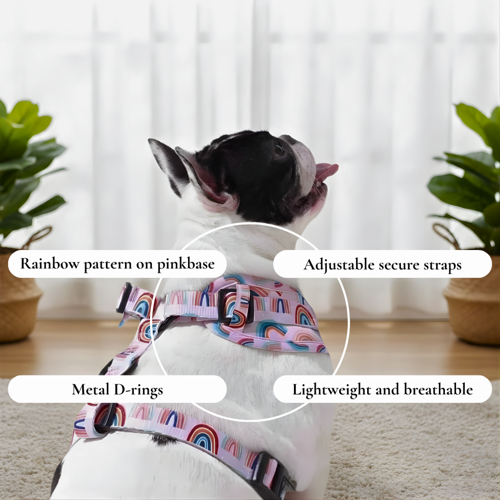 Rainbow Harness – Pink Base