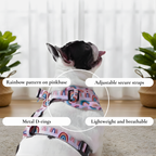 Rainbow Harness – Pink Base