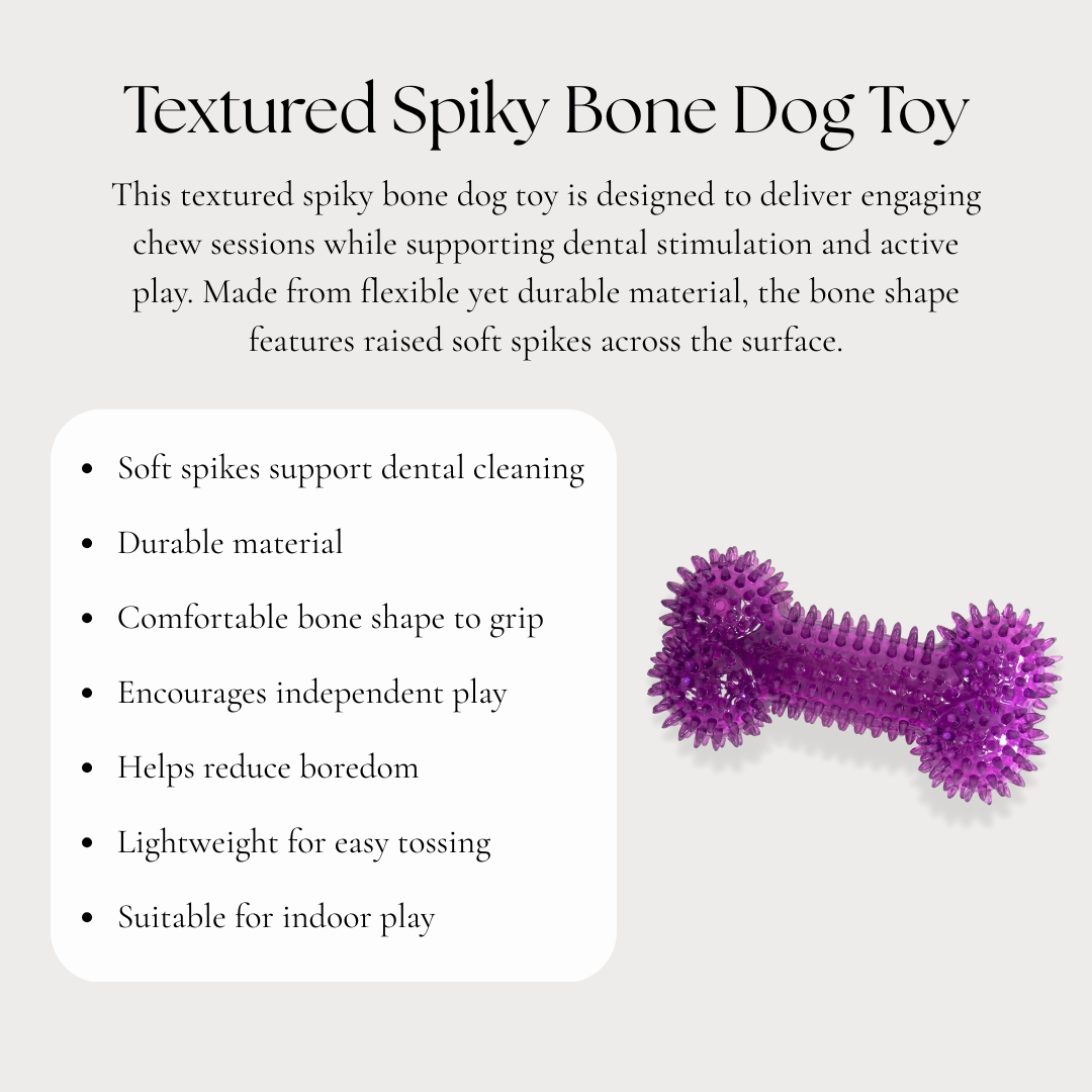 Textured Spiky Bone Dog Toy