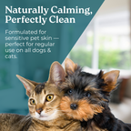 Aloe Vera With Neem Herbal Shampoo