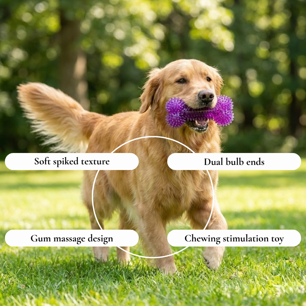 Textured Spiky Bone Dog Toy