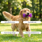 Textured Spiky Bone Dog Toy