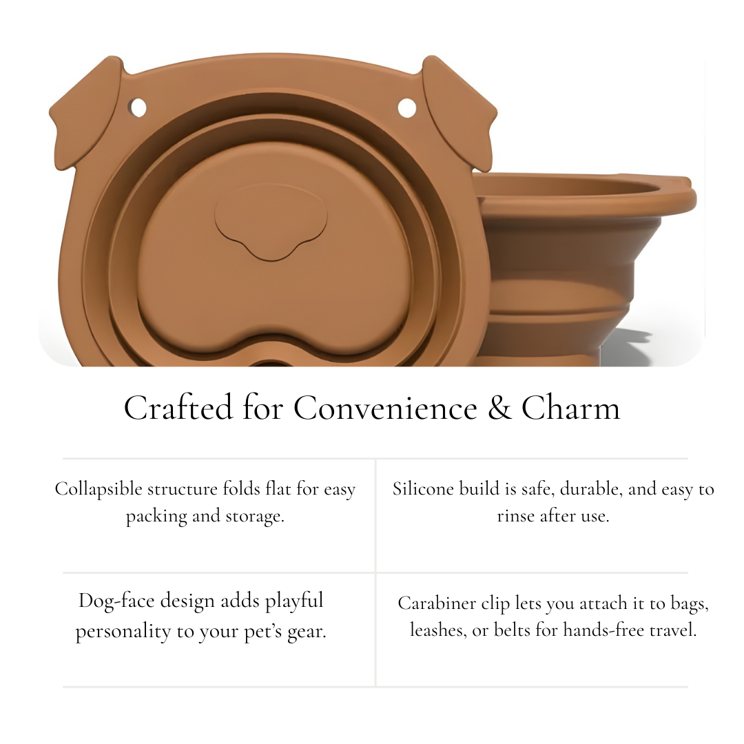 Brown Collapsible Silicone Pet Bowl