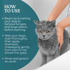 Aloe Vera With Neem Herbal Shampoo