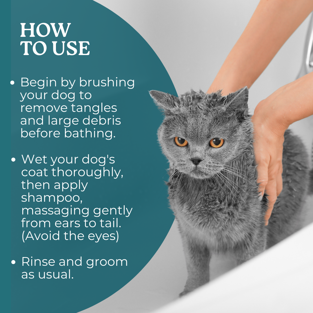 Aloe Vera With Neem Herbal Shampoo