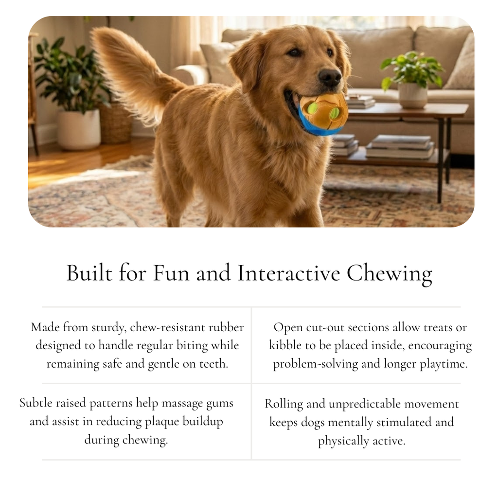 Hollow Rubber Dog Ball