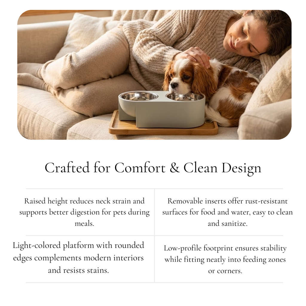 Dual Pet Feeder - Matte Finish