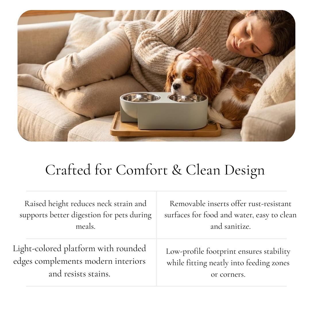 Dual Pet Feeder - Matte Finish