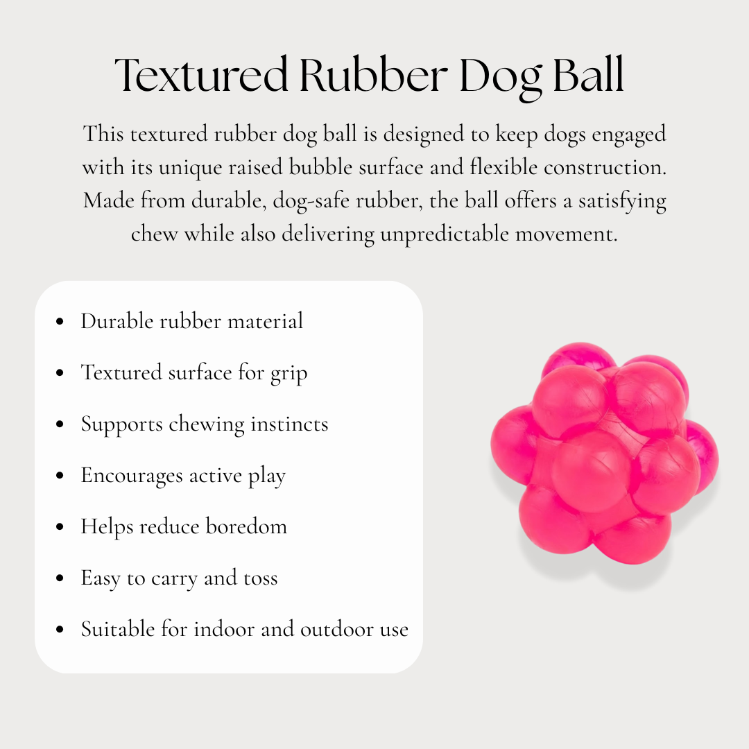 Textured Rubber Dog Ball
