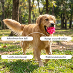 Textured Rubber Dog Ball