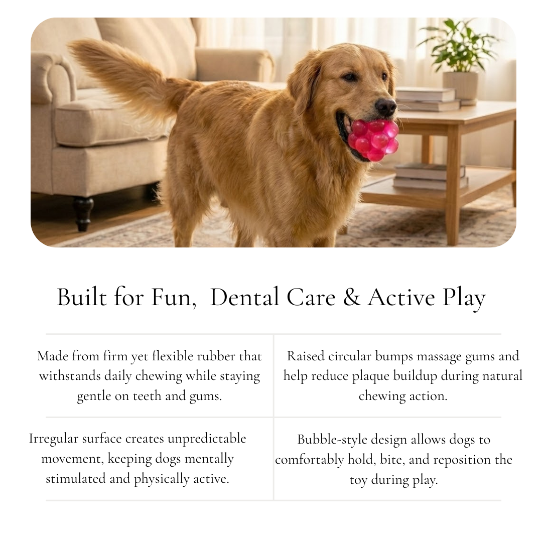 Textured Rubber Dog Ball