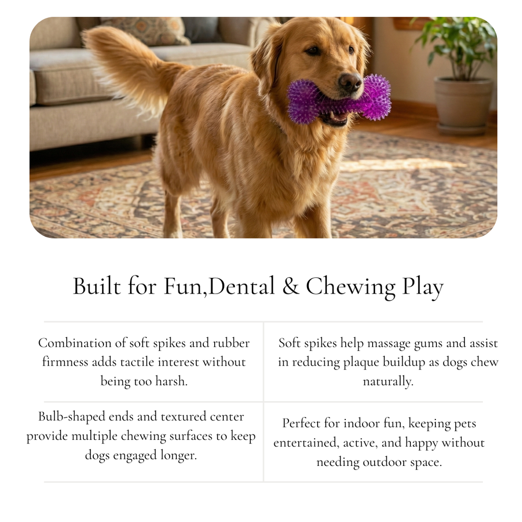 Textured Spiky Bone Dog Toy