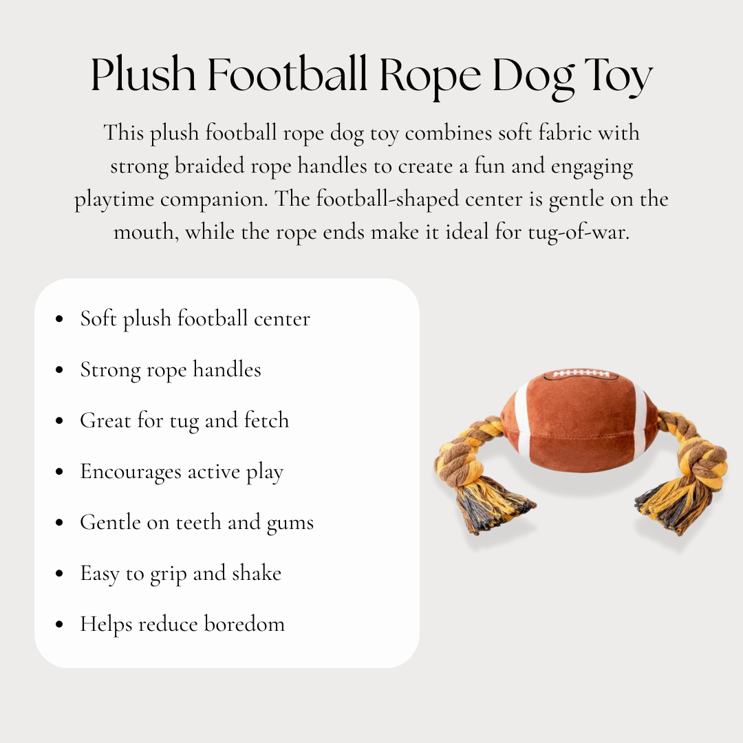 Plush Football Rope Dog Toy