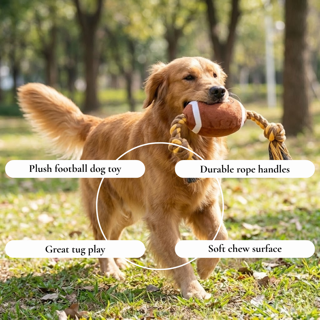 Plush Football Rope Dog Toy