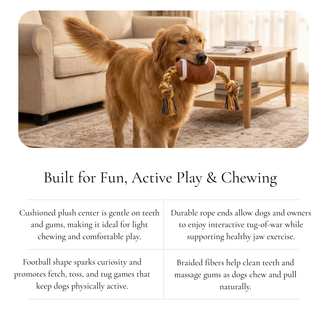 Plush Football Rope Dog Toy