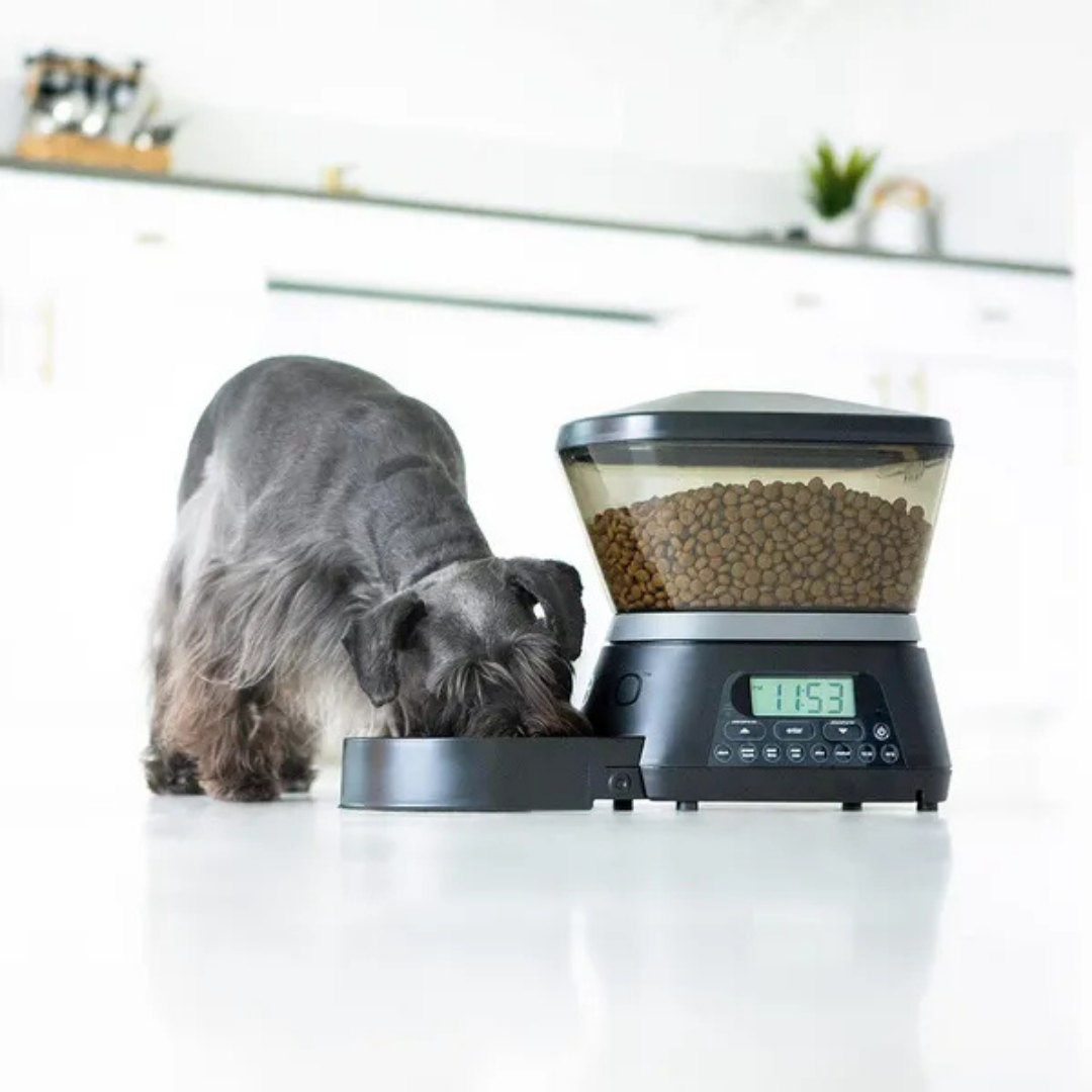Automatic Pet Feeder
