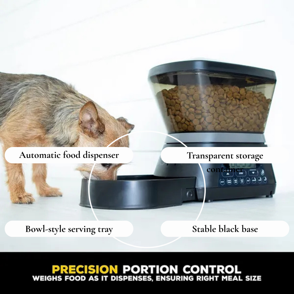 Automatic Pet Feeder