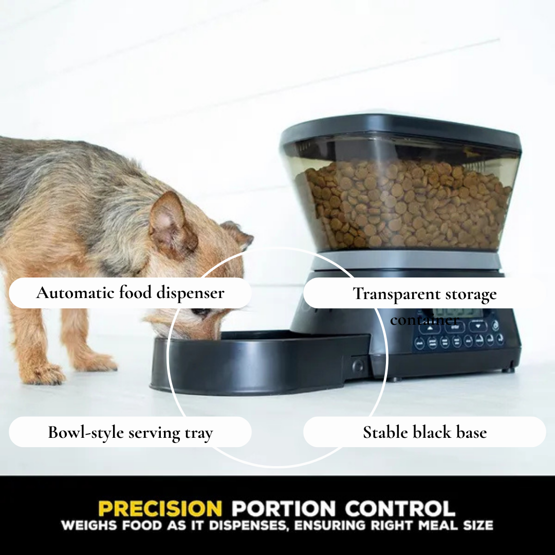 Automatic Pet Feeder