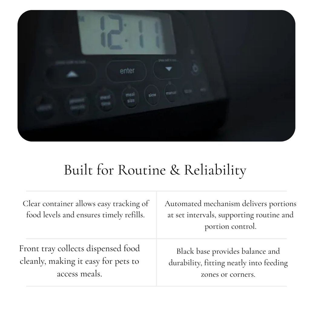 Automatic Pet Feeder