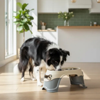 Pet Feeder with Bone Cutout Design