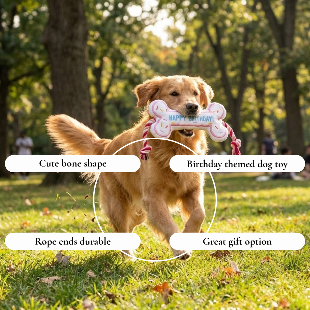 Birthday Bone Plush Rope Toy