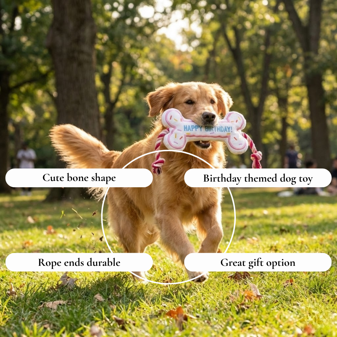 Birthday Bone Plush Rope Toy