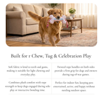 Birthday Bone Plush Rope Toy