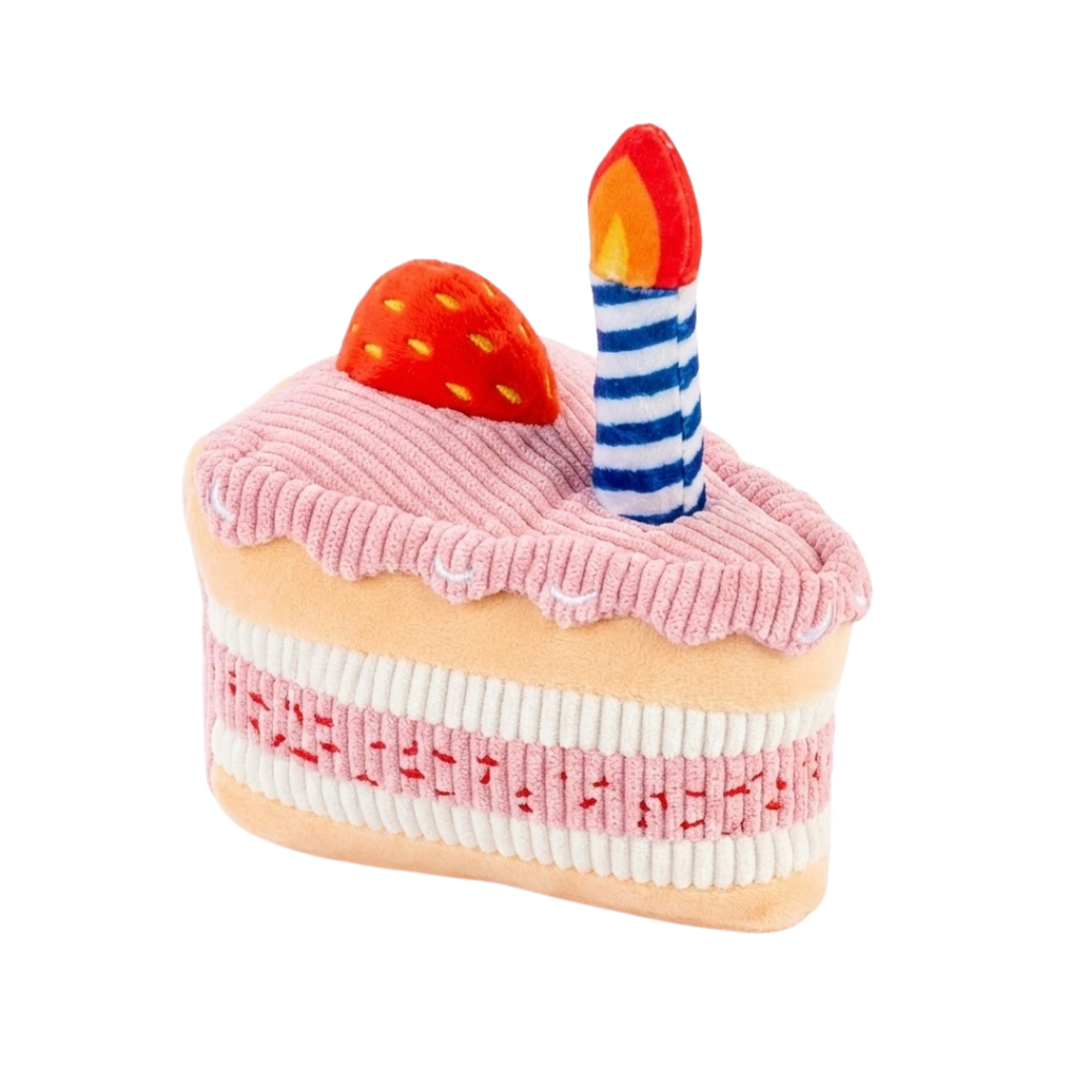 Birthday Cake Toy with Candle