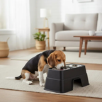 Dual Pet feeder with Cutout Base