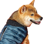 Quilted Dog Jacket