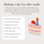 Birthday Cake Toy with Candle
