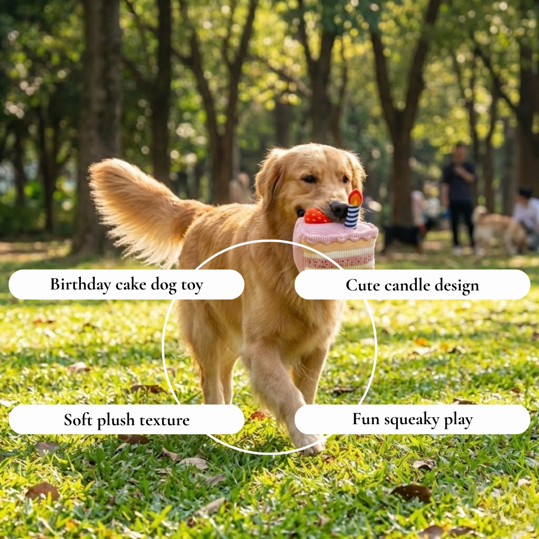 Birthday Cake Toy with Candle