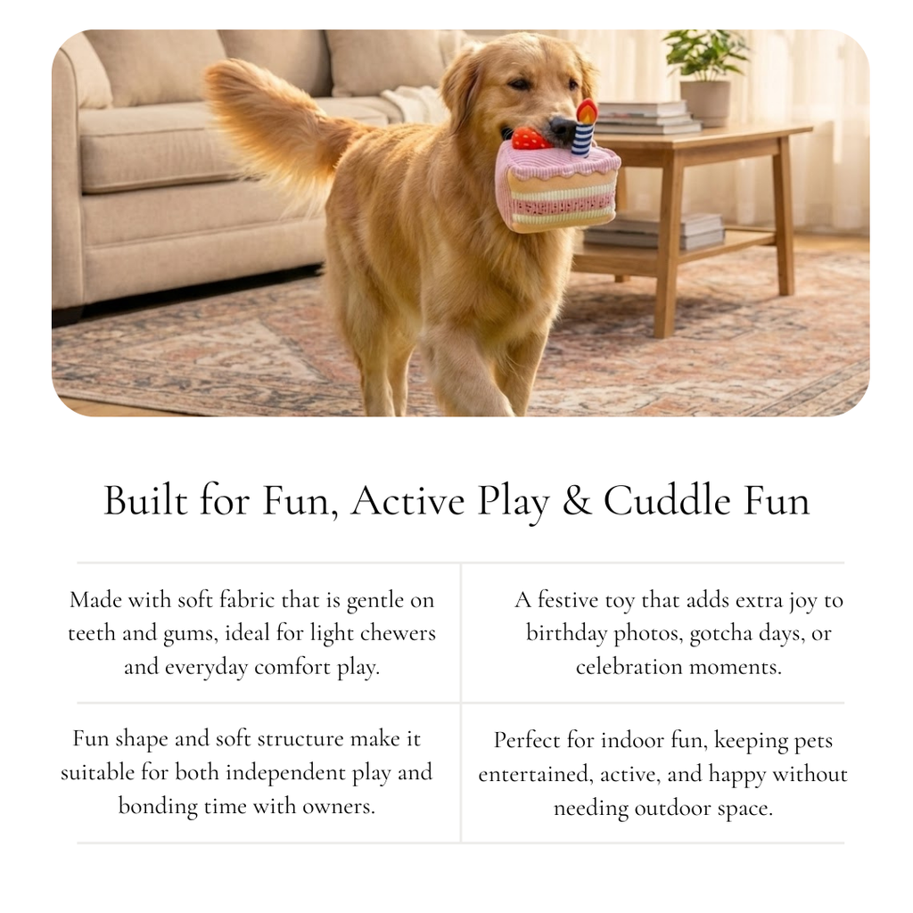 Birthday Cake Toy with Candle