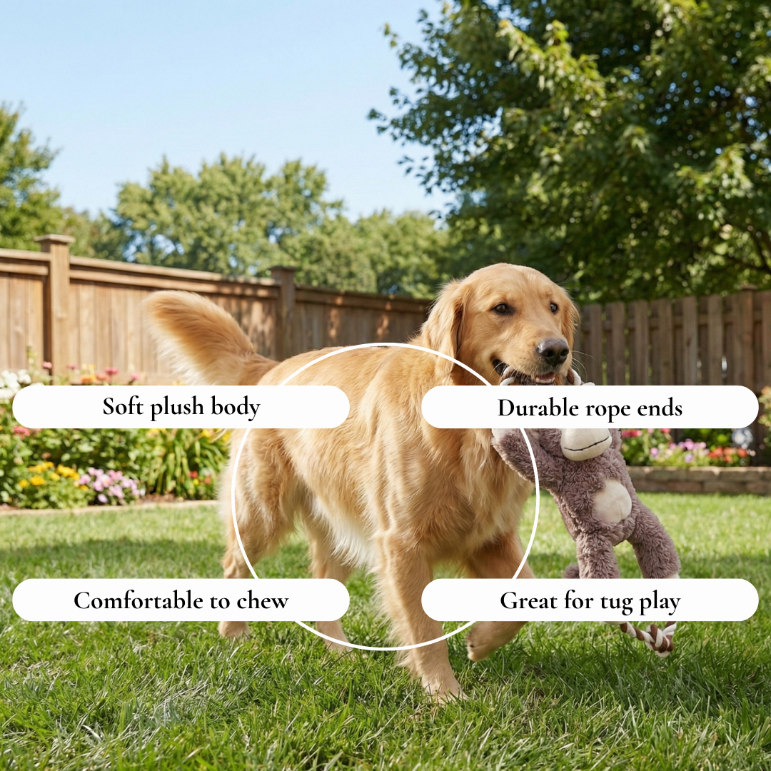 Plush Monkey Rope Tug Dog Toy