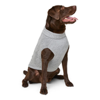 Knitted Pet Sweater