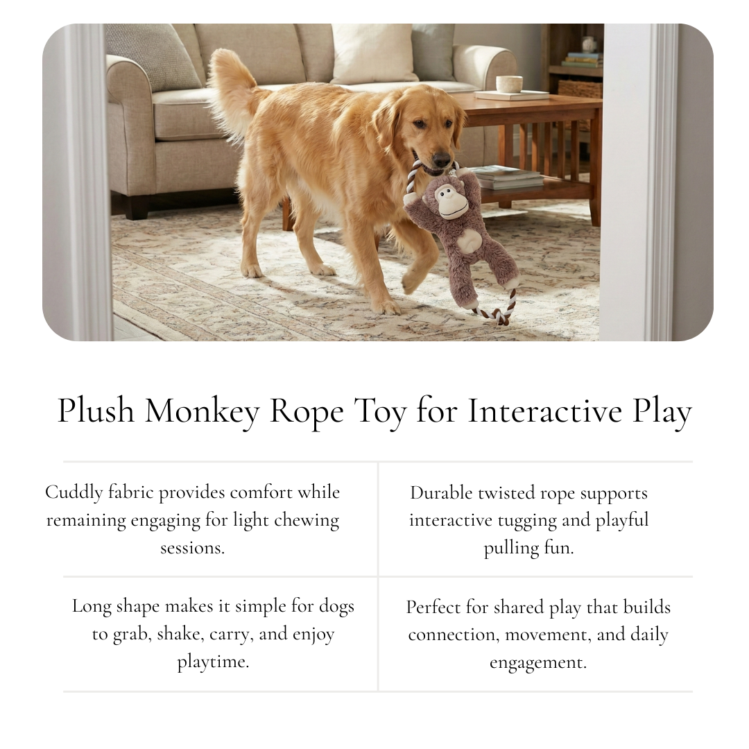 Plush Monkey Rope Tug Dog Toy
