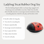 Ladybug Treat Rubber Dog Toy