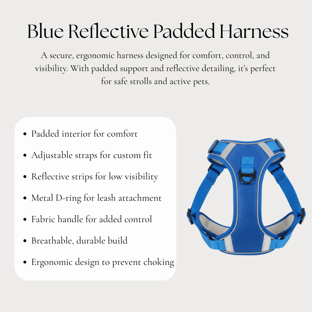Blue Reflective Padded Harness