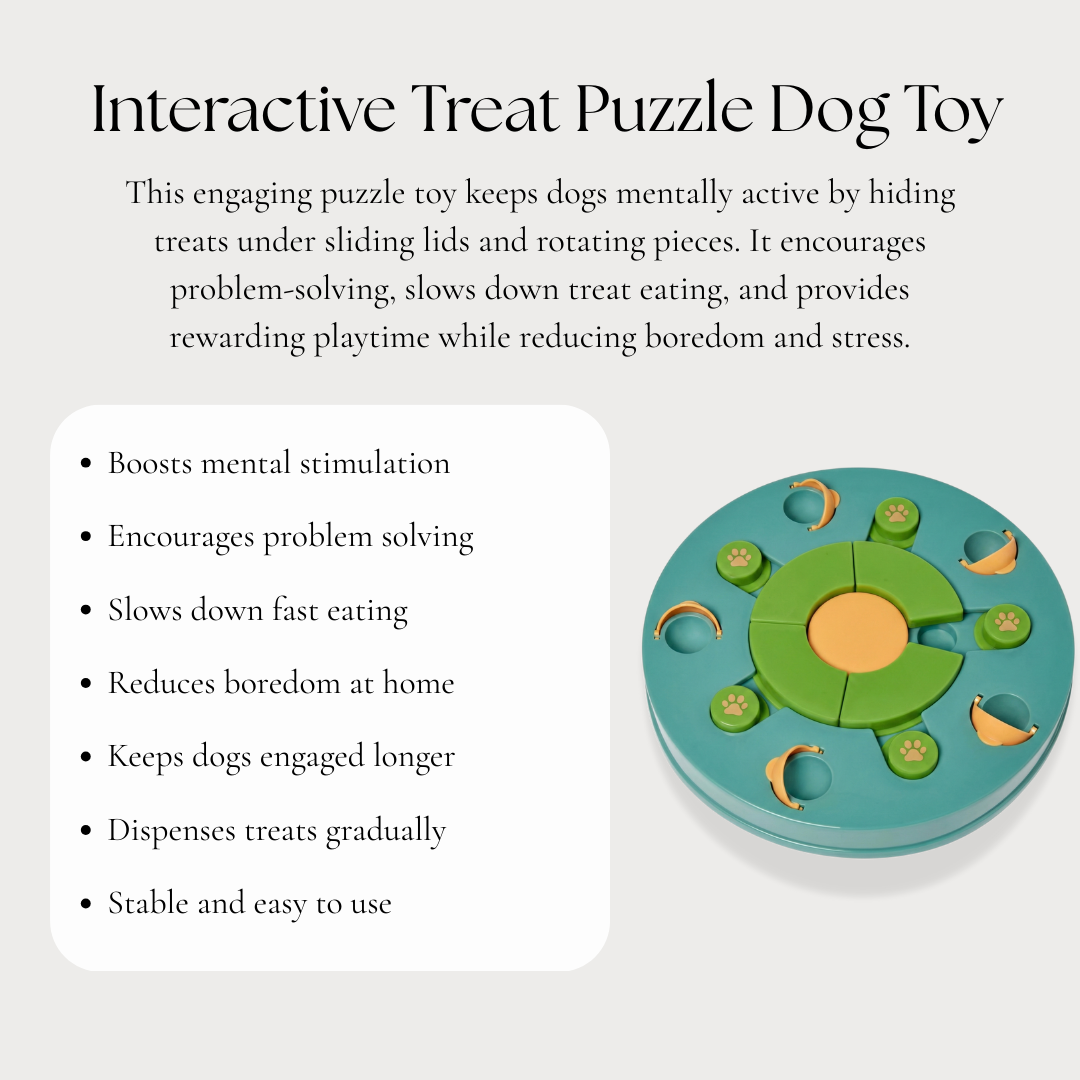 Interactive Puzzle Treat Dog Toy