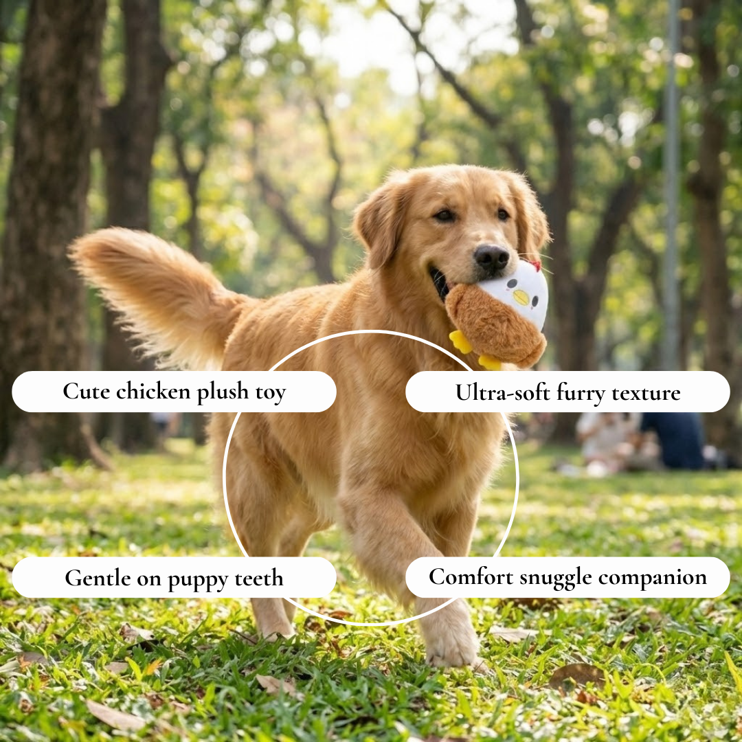 Plush Chicken Dog Toy