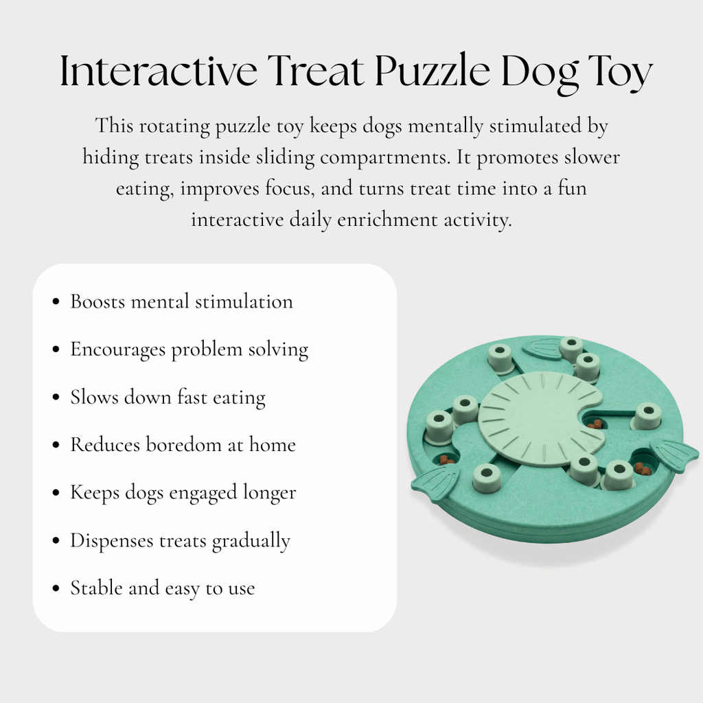 Interactive Treat Puzzle Dog Toy
